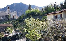 Flower Home Brissago